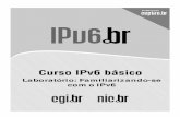 Curso de IPv6 básico - lab (pdf)