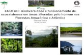 Biodiversidade e funcionamento de ecossistemas em áreas ...