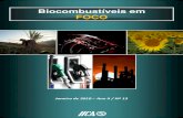 Biocombustíveis em FOCO - IICA