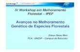 IV Workshop em Melhoramento Genético Florestal – IPEF Avanços ...