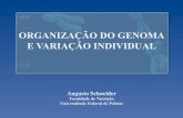 Aula 02 – Organização do genoma e variação individual