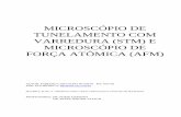MICROSCÓPIO DE TUNELAMENTO COM VARREDURA (STM) E ...