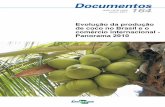 Evolução da produção de coco no Brasil e o comércio internacional ...