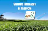 Painel 2 - Desafios e oportunidades para o agronegocio brasileiro - Luiz Lourenço