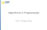 Algoritmos e Programação - 2016.2 - Aula 19