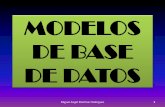 Modelos de Base de Datos