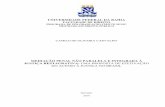 CAMILO DE OLIVEIRA CARVALHO - Dissertação Final.pdf