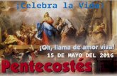 DOMINGO DE PENTECOSTÉS. CICLO C. DIA 15 DE MAYO DEL 2016. PPS.