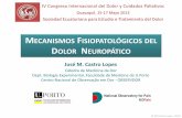 MECANISMOS FISIOPATOLÓGICOS DEL DOLOR NEUROPÁTICO