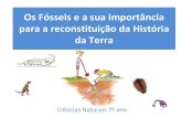 Os Fósseis e a sua importância para a reconstituição da História da ...