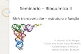 Bioquímica II RNAt