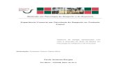 Relatório Estágio Mestrado Paulo Borges.pdf
