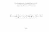 Detecção da Alcoolemia por Meio da Pupilometria Dinâmica (.pdf)