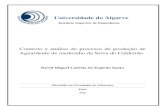 Universidade do Algarve-Controlo e análise do processo de ...