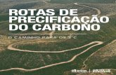 Rotas de Precificação de Carbono