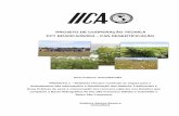 projeto de cooperação técnica pct bra/iica/05/004 – pan desertificação