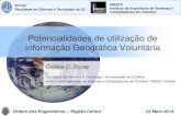 Potencialidades de utilização de Informação Geográfica Voluntária