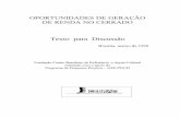 Geração de Renda no Cerrado.pdf