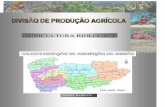 Caracterização da Produção na Região Norte. - Agricultura ...