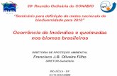 Ocorrência de Incêndios e Queimadas nos biomas brasileiros