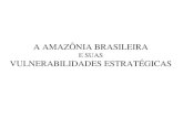 A Amazônia brasileira e suas vulnerabilidades estratégicas