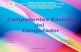 Componentes Basicos del Computador