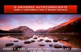 prof.Aires O universo autoconsciente acn 05 abril 2016