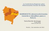 Nordeste desenvolvimento recente e desafios para o futuro