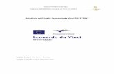 Relatório de Estágio Leonardo da Vinci 2012/2013