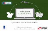 Rio Info 2015 - Processo Digital no Governo do Pará - Odlaniger Lourenço Monteiro