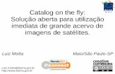 Catalog on the fly: Solução aberta para utilização imediata de grande acervo de imagens de satélites.