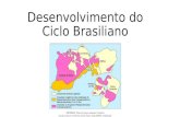 Desenvolvimento do ciclo brasiliano