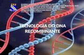 Tecnologia do DNA recombinante