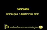 Sociologia introdução fundamentos e bases