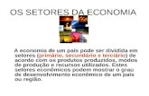 Os setores da economia