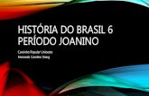 História do Brasil - Aula 6