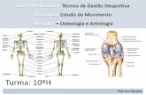 Noções fundamentais para o estudo da anatomia