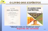 081210 le–livro ii, cap.10-da ocupação e missão dos espíritos
