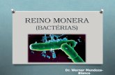 Reino Monera (bacterias)