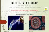 Biologia celular 2016   aula2 - modificada
