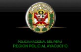 Policia nacional del peru_JUAN BUTRON
