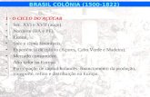 Brasil colônia   ciclo do ouro