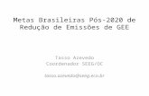 Metas brasileiras pós-2020