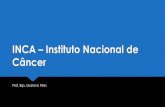 03 Aula - INCA – Instituto Nacional de Câncer