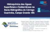 Hidroquímica das águas subterrâneas e superficiais na área de proteção ambiental do córrego Guariroba, Campo Grande - MS