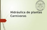 Hidráulica de plantas carnívoras
