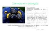 Postagem   animais em extinção