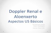 Doppler renal - Aspectos US Básicos