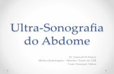 Ultra-Sonografia do Abdome - Noções Básicas