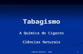 Tabagismo a química do cigarro  prof Ivanise Meyer